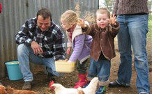 Linga Longa Farm Wingham - Nambucca Heads Accommodation 0