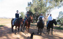 Linga Longa Farm Wingham - Nambucca Heads Accommodation 1
