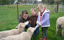 Linga Longa Farm Wingham - Nambucca Heads Accommodation 2