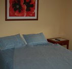 Busy Buzz - Nambucca Heads Accommodation