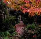 Gulgong B and B - Nambucca Heads Accommodation