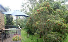 Peaceful Palms Bed And Breakfast - - Nambucca Heads Accommodation 6