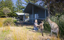 Norman Lindsay Cottage - Nambucca Heads Accommodation 9