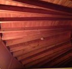Sea Cottage - Nambucca Heads Accommodation