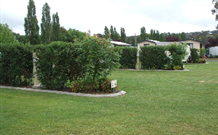 Wheatfield Cottage - Nambucca Heads Accommodation 0