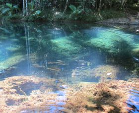 Riverside - Nambucca Heads Accommodation 2