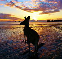 Cape Hillsborough Nature Tourist Park - Nambucca Heads Accommodation
