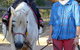 Barkala Farmstay And Blue Wren Bush Cafe - thumb 5