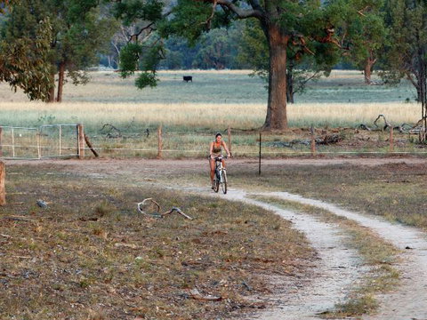 Barkala Farmstay And Blue Wren Bush Cafe - Nambucca Heads Accommodation 6