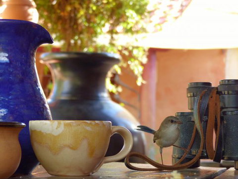 Barkala Farmstay And Blue Wren Bush Cafe - Nambucca Heads Accommodation 9