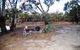 Beds In The Barwon - thumb 6