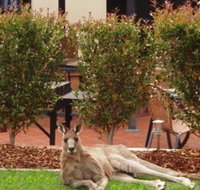 Alpha Canberra Hotel and Apartments - Nambucca Heads Accommodation
