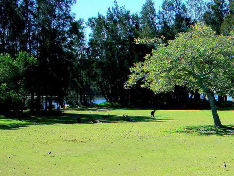 Lake Conjola Waterfront Holiday Park - Nambucca Heads Accommodation 2
