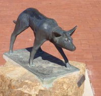 The Ardlethan Kelpie Caravan Park - Nambucca Heads Accommodation