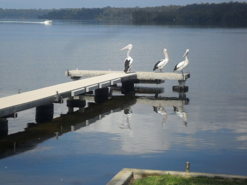 Basin View NSW Nambucca Heads Accommodation