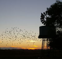 Nevertire Hotel - Nambucca Heads Accommodation