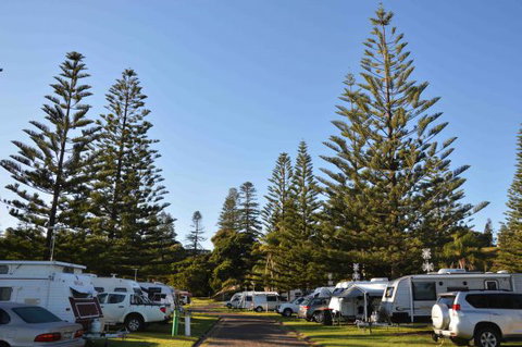 NRMA Port Macquarie Breakwall Holiday Park - Nambucca Heads Accommodation 5