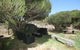 LJ Hooker Goolwa Holiday Rentals - 15 Eaton Avenue, Goolwa Beach - thumb 3
