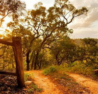 Kurrajong Trails and Cottages - Nambucca Heads Accommodation