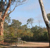Drummonds Camp at Avon Valley National Park - Nambucca Heads Accommodation