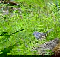 Morialta Bed And Breakfast - Nambucca Heads Accommodation