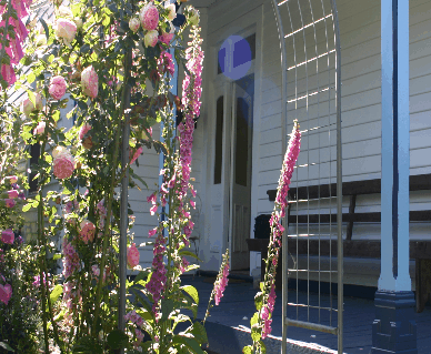 Devonport Bed And Breakfast - Nambucca Heads Accommodation