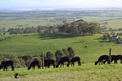 Clifden Cottage - Nambucca Heads Accommodation 7