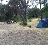Allports Beach Camping Ground - Nambucca Heads Accommodation