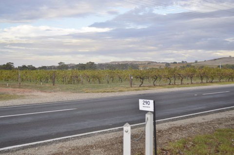 Almond Tree Cottage - Nambucca Heads Accommodation 5