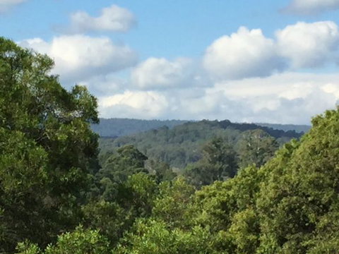 Barrington Tops Escapes - Nambucca Heads Accommodation 3