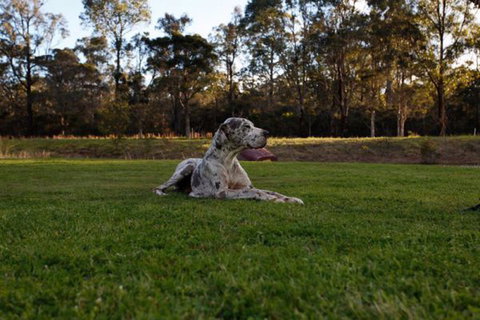 Hunter Valley Retreat - Nambucca Heads Accommodation 0