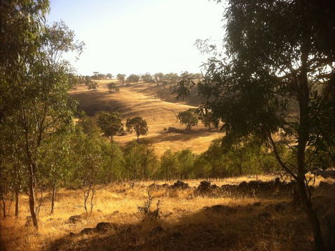 Jonathan Art Centre - Jarramarrumba House - Nambucca Heads Accommodation 6