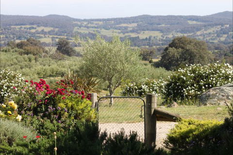 L'Oliveraie - Nambucca Heads Accommodation 1