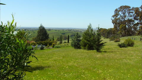 Jonathan Art Centre - Jarramarrumba House - Nambucca Heads Accommodation 0