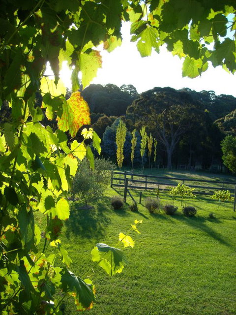 Old Chilli B&B Daylesford - Nambucca Heads Accommodation 3
