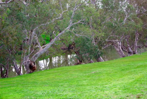 Yalooka Farm - Nambucca Heads Accommodation 4