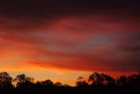Yalooka Farm - Nambucca Heads Accommodation 5
