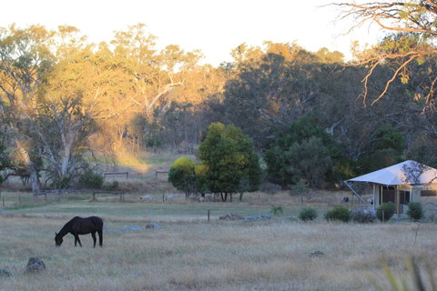 Boongarrie Luxury Tent - Nambucca Heads Accommodation 7