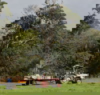 Boronia Farm - Nambucca Heads Accommodation