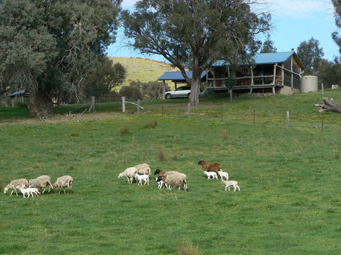Gaddleen Grove Cottages - Nambucca Heads Accommodation 0