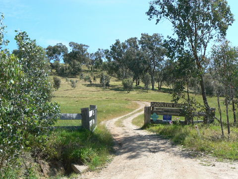 Gaddleen Grove Cottages - Nambucca Heads Accommodation 3