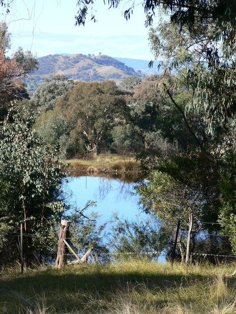 Gaddleen Grove Cottages - Nambucca Heads Accommodation 6