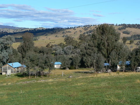 Gaddleen Grove Cottages - Nambucca Heads Accommodation 7