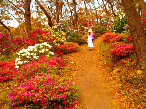 Gardners Inn Hotel Blackheath - Nambucca Heads Accommodation 4