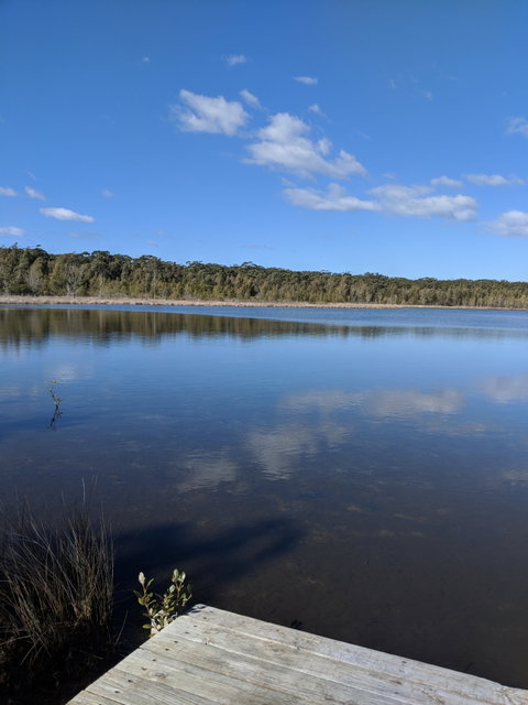 Lake's Folly Studio - Nambucca Heads Accommodation 4