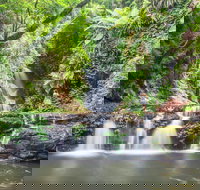 O'Reilly's Rainforest Retreat - Nambucca Heads Accommodation