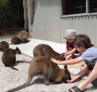 The Patriarch Wildlife Sanctuary Camping Ground - Nambucca Heads Accommodation