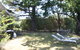 Waterside Accommodation - Derwent Hideaway - thumb 7