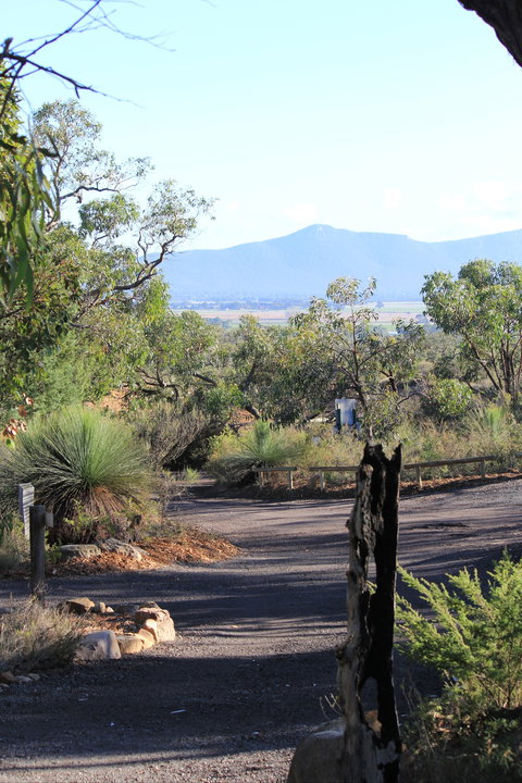 Aquila Eco Lodges - Nambucca Heads Accommodation 5