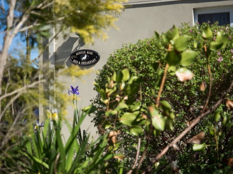 Austin Rise B&B - Nambucca Heads Accommodation 1